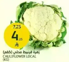 زهره قرنبيط محلي