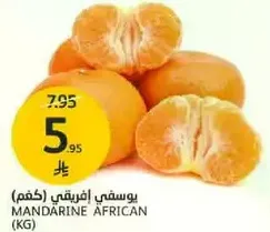 يوسفي افريقي
