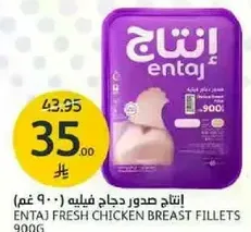 انتاج صدور دجاج فيليه