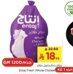 دجاج كامل طازج انتج