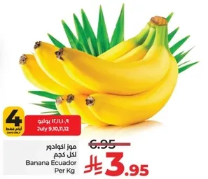 موز اكوادور لكل كجم.
