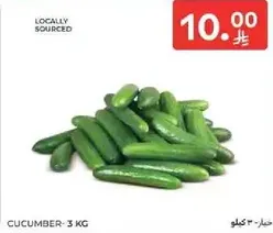 خيار - 3 كغ
