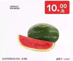 بطيخ - 5 كجم