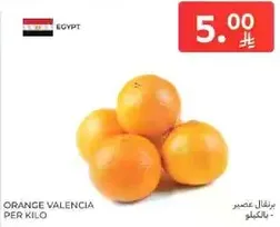 برتقال فالنسيا بالكيلو