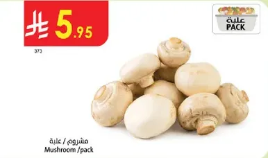 مشروم / علبه