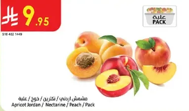 مشمش اردني / خوخ / علبه