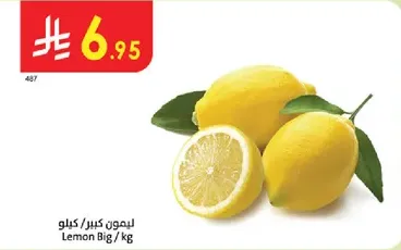 ليمون كبير يباع بالكيلو.