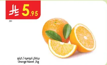 برتقال النابل / كيلو