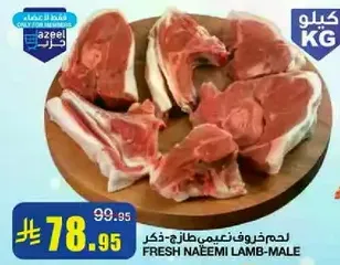لحم ضان نعيمي طازج - ذكر