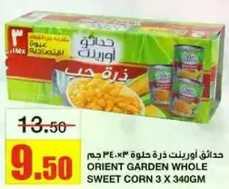 حدايق اورينت ذره حلوه 3 × 340 جرام