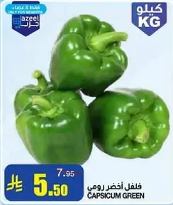فلفل اخضر رومي