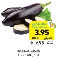 باذنجان، السعوديه