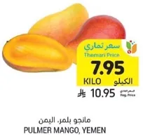 مانجو بلمر من اليمن