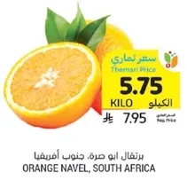 برتقال ابو صره، جنوب افريقيا
