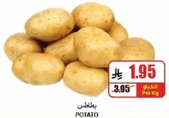 بطاطس