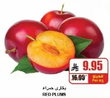 بخاري حمراء