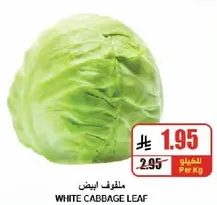 ملفوف ابيض