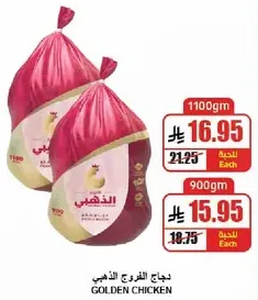 دجاج الفرعوني الذهبي