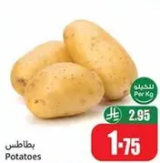 بطاطس