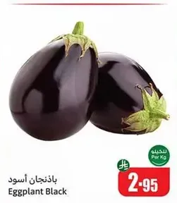باذنجان اسود