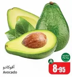 افوكادو