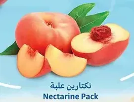 نكترين علبه