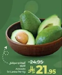 افوكادو سريلانكي لكل كيلو.