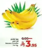 موز اكوادوري