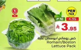خس روماني/بوسطن علبه