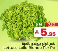 خس لولو بيوندو بالحبه