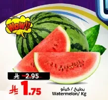 بطيخ / كيلو