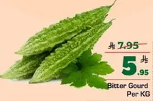 قرع مر