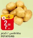 Potato