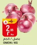 Onion