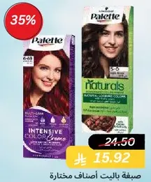 Palette Intensive Color Creme provides vibrant color and shine.