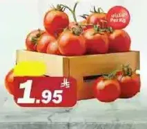 Fresh tomatoes sold by the kilogram.