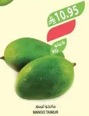 Mango Tamur