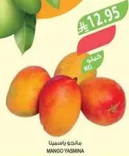 Yasmina Mango