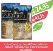 Garnier Olia Hair Colour Bleach / Toner (No Ammonia)