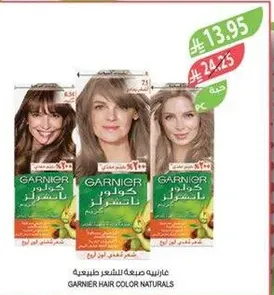Garnier Hair Color Naturals