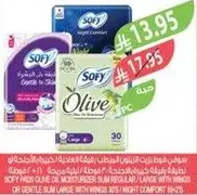Sofy offers a range of products designed for women's comfort during their menstrual cycle, including regular and night pads.