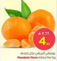 Mandarin Nova Africa Per Kg