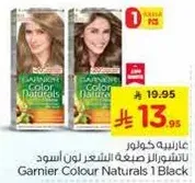Garnier Colour Naturals 1 Black