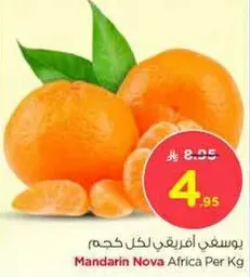 Mandarin Nova Africa Per Kg