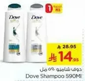Dove Shampoo 590ml
