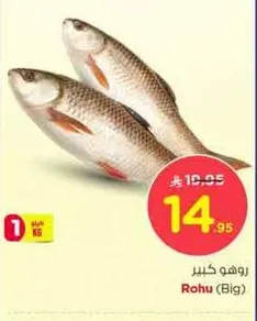 Rohu (Big)