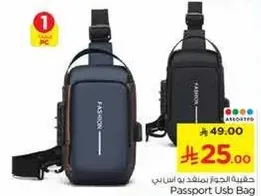 Passport USB Bag