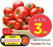 Tomato Per Kg