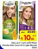 Palette Hair Color 8-0 Light Blonde 50ml