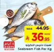 Seabream Fish Per Kg